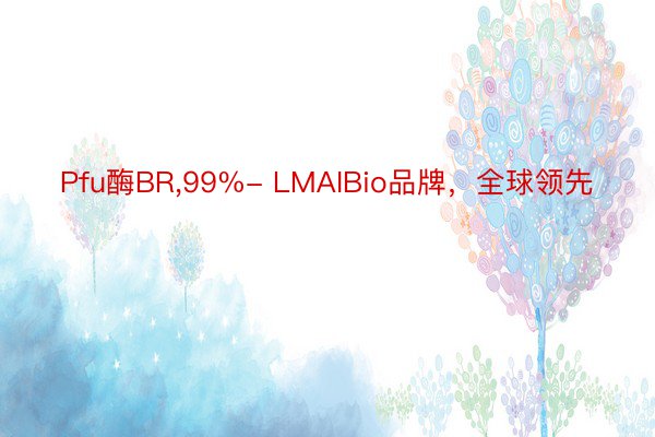 Pfu酶BR，99%- LMAIBio品牌，全球领先